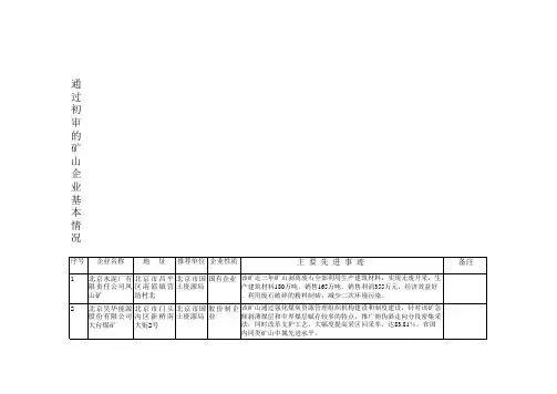 通过初审的矿山企业基本情况xls