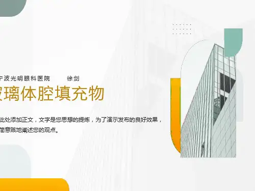 玻璃体腔填充物的选择