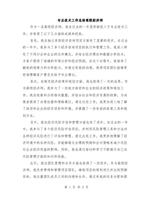 专业技术工作总结高级经济师
