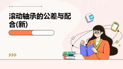 滚动轴承的公差与配合(新)