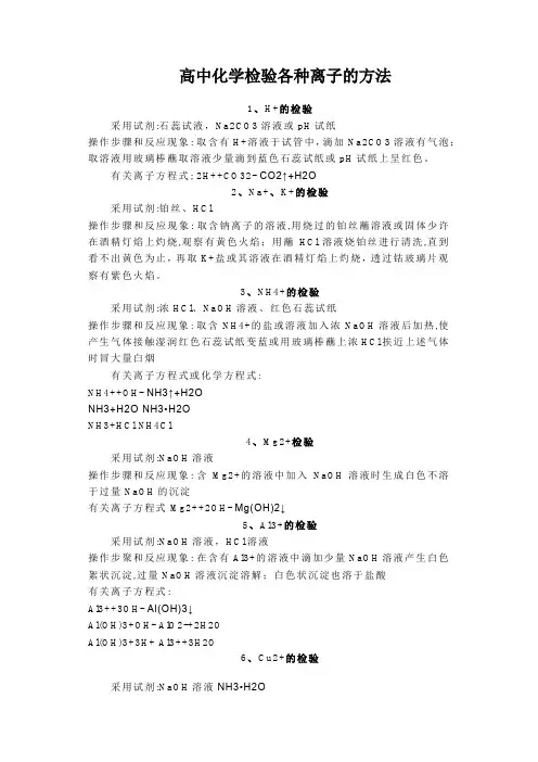 高中化学检验各种离子的方法