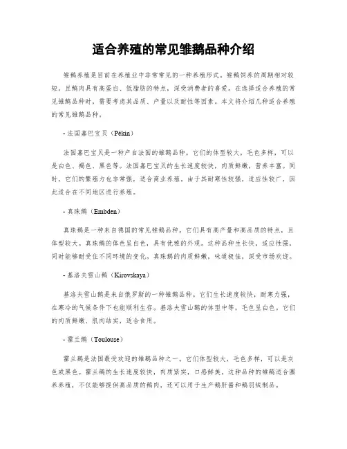 适合养殖的常见雏鹅品种介绍