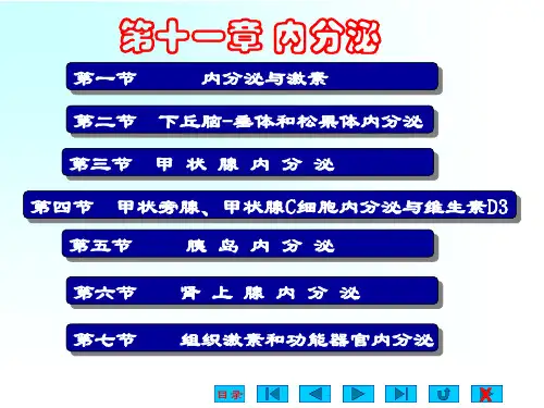 生理学课件：第十一章 内分泌