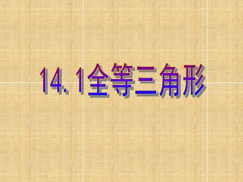 秋沪科版八年级数学上册课件：14.1 全等三角形 (共18张PPT)