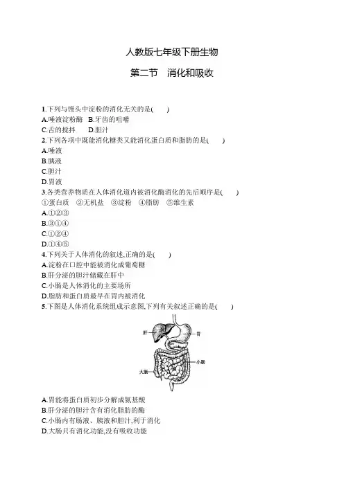 人教版七年级下册生物第二章第二节消化和吸收及答案