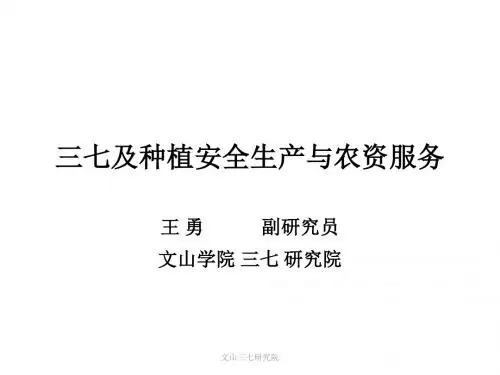三七及种植安全生产与农资服务-王勇