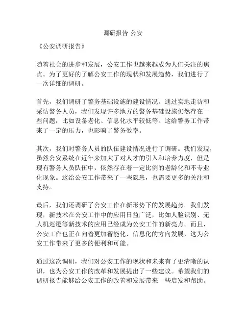 调研报告 公安