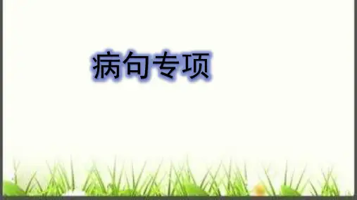 初中语文专题复习：病句修改(共47张PPT)