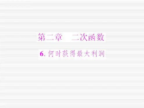数学：第二章-第6节-何时获得最大利润--课件(北师大版九年级下)