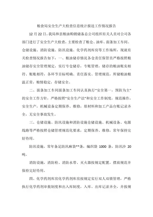 粮食局安全生产大检查信息统计报送工作情况报告