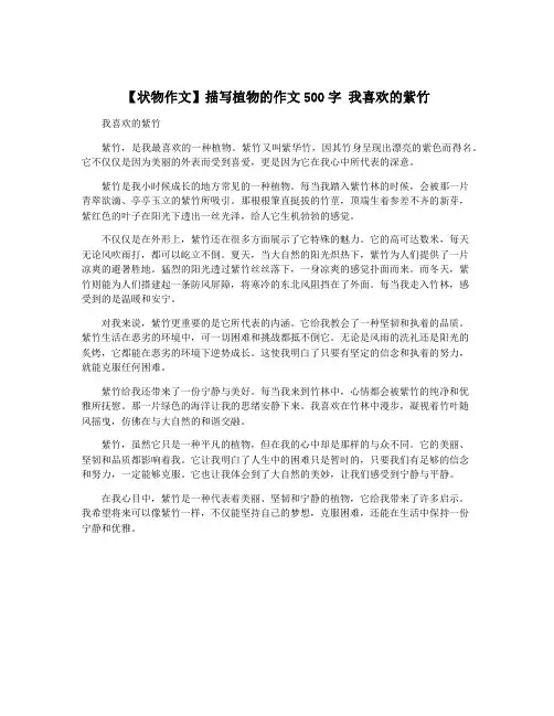 【状物作文】描写植物的作文500字 我喜欢的紫竹