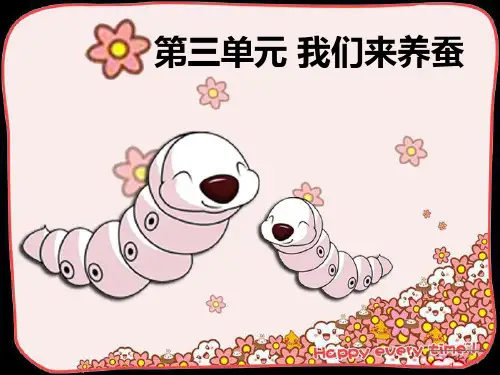 《1. 我们来养蚕》课件1