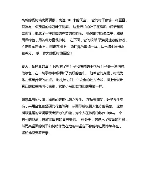 杨树描写作文300字作文三年级