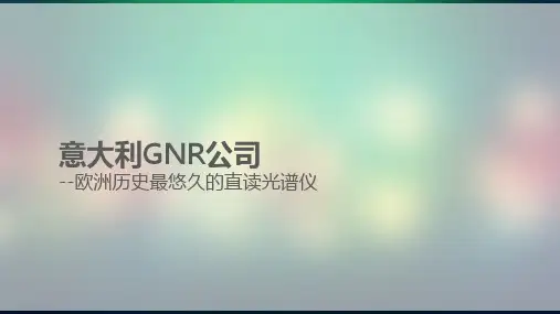 意大利GNR直读光谱仪公司介绍