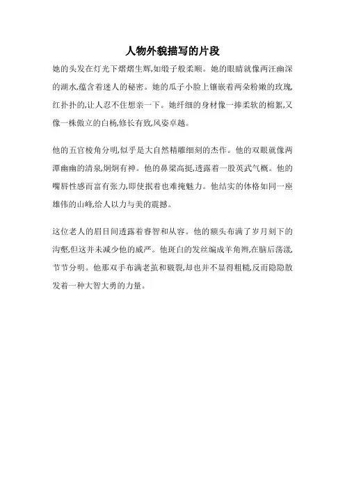 人物外貌描写的片段