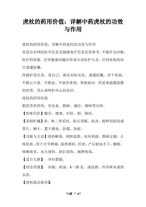 虎杖的药用价值：详解中药虎杖的功效与作用