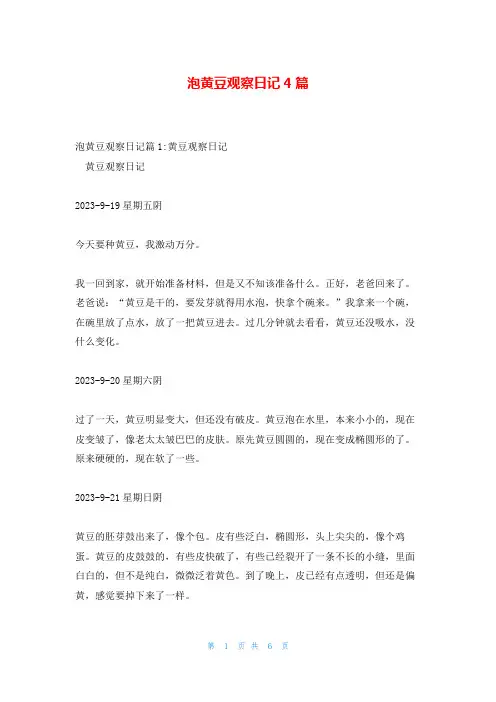 泡黄豆观察日记4篇
