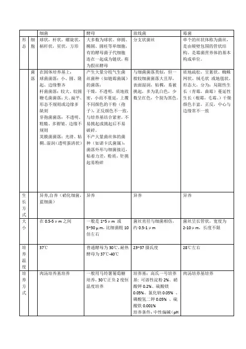 四大类微生物