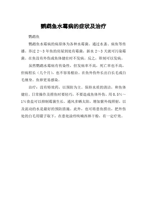 鹦鹉鱼水霉病的症状及治疗