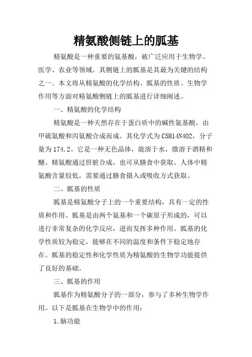 精氨酸侧链上的胍基