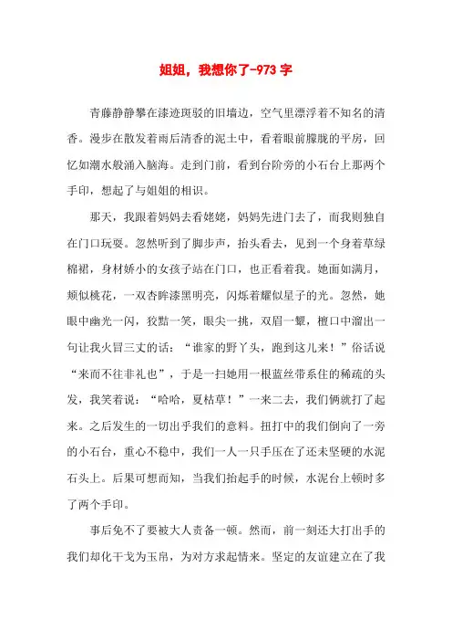 姐姐,我想你了-973字高一叙事作文