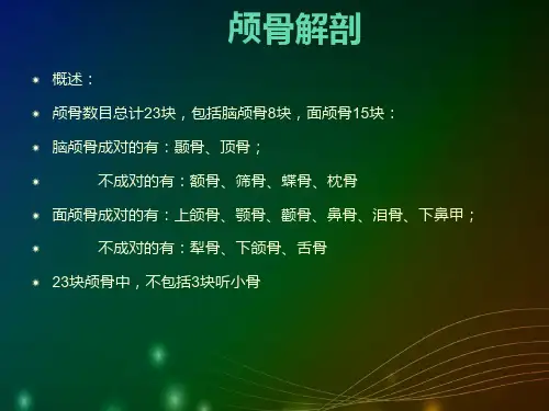 颅骨3D解剖 图文