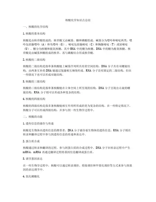 核酸化学知识点总结