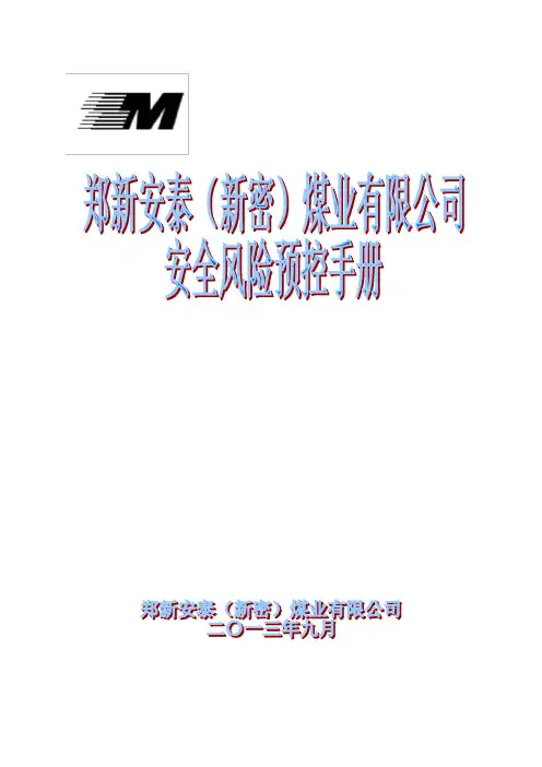 煤矿安全风险预控管理体系规范(DOC 294页)