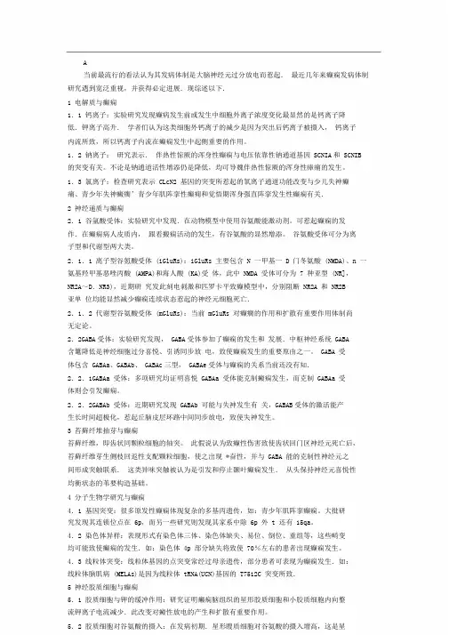 癫痫发病机制