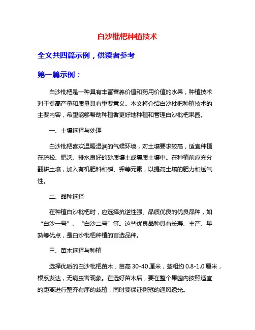 白沙枇杷种植技术