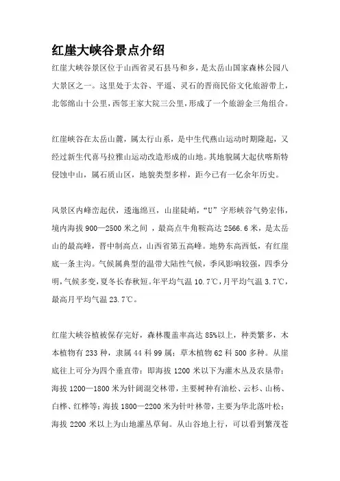 红崖大峡谷景点介绍