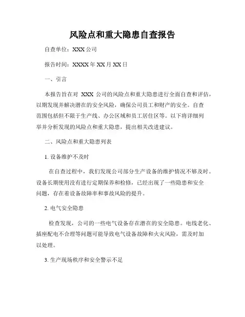 风险点和重大隐患自查报告