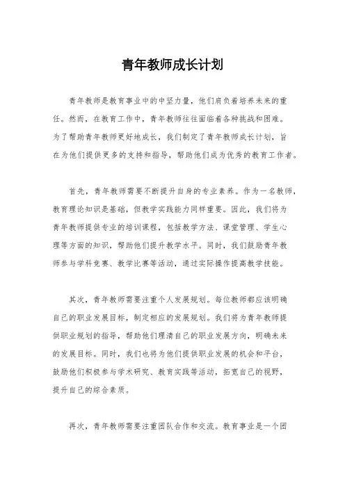 青年教师成长计划