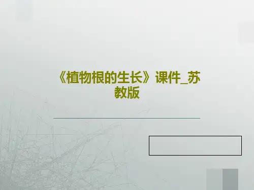《植物根的生长》课件_苏教版22页文档