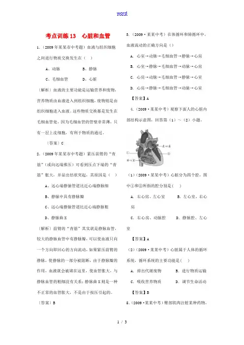 九年级生物中考考点训练13  心脏和血管全国通用