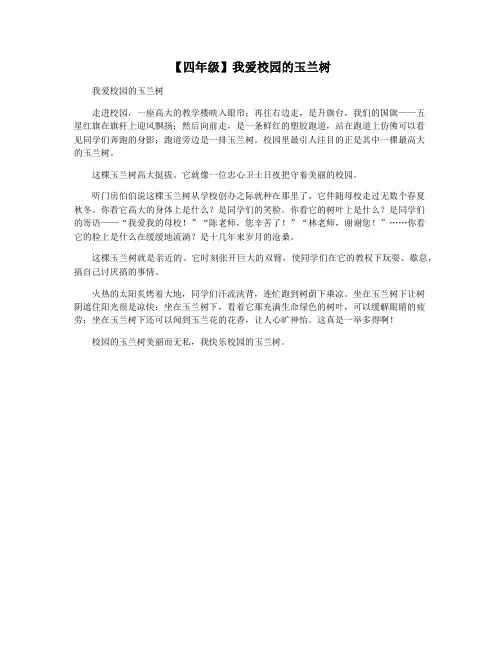 【四年级】我爱校园的玉兰树