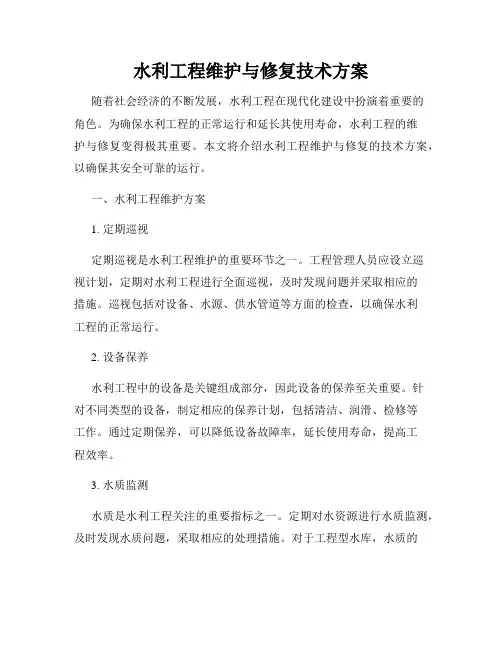 水利工程维护与修复技术方案