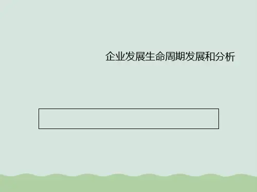 企业发展生命周期发展和分析PPT(共30页)