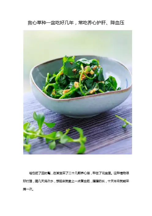 救心草种一盆吃好几年,常吃养心护肝、降血压