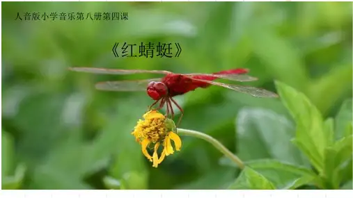 人音版四年级音乐下册《红蜻蜓》ppt课件