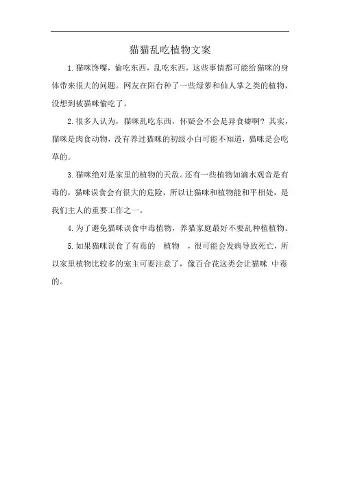 猫猫乱吃植物文案