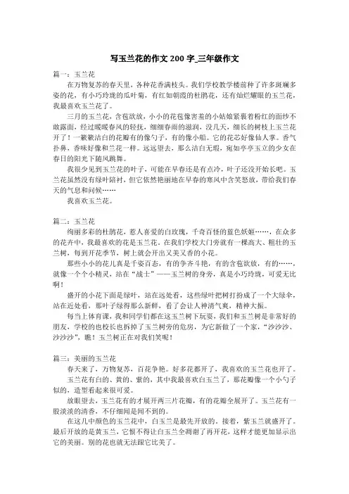 写玉兰花的作文200字_三年级作文