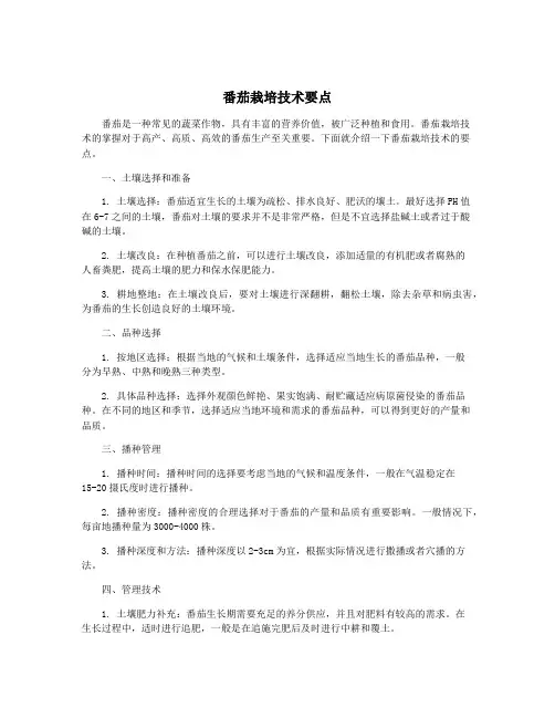 番茄栽培技术要点