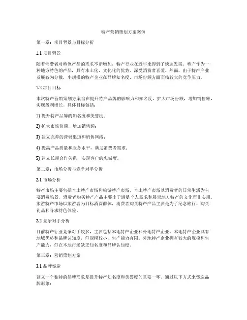 特产营销策划方案案例