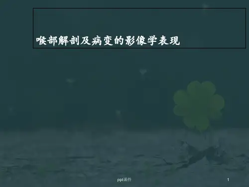 喉部解剖及病变的影像学表现  ppt课件