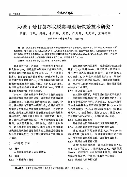 彩紫1号甘薯茎尖脱毒与组培快繁技术研究
