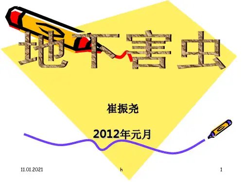 《地下害虫》PPT课件