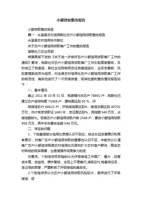 小额贷款整改报告