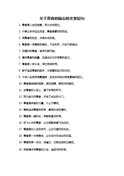关于青春的励志的文案短句