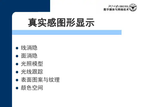 917589-计算机图形学4-NEWV